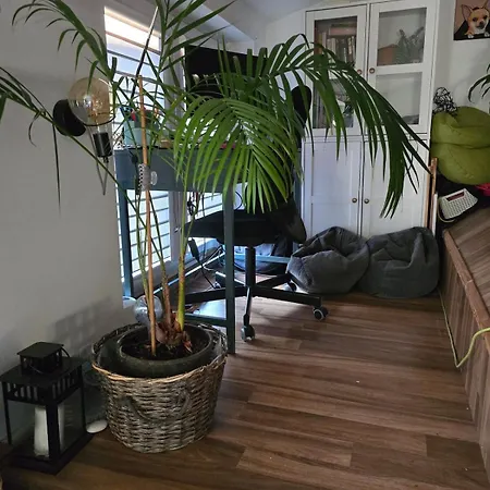 Cozyhome-rekawka6 Cracóvia